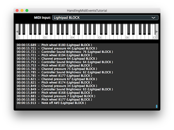 The application window